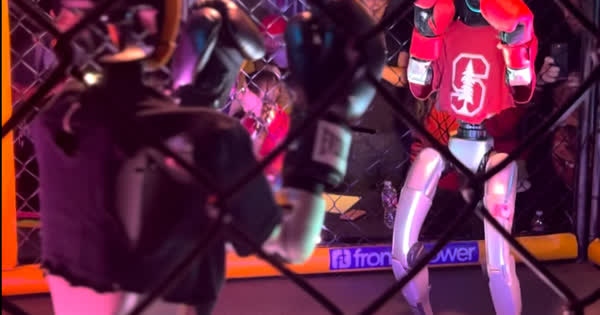 Humanoid robot boxing exhibition (foto ilustrativa)